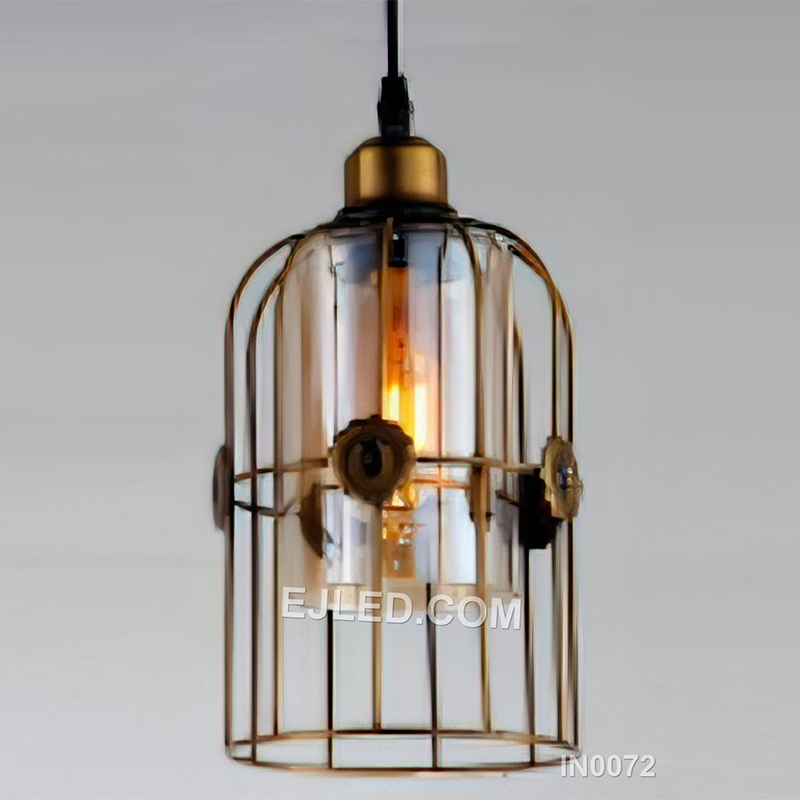 BirdCage Modern and Simple Chandelier Creative Ceiling Lamp Iron Pendant Light with Glass Shade for Foyer IN0072