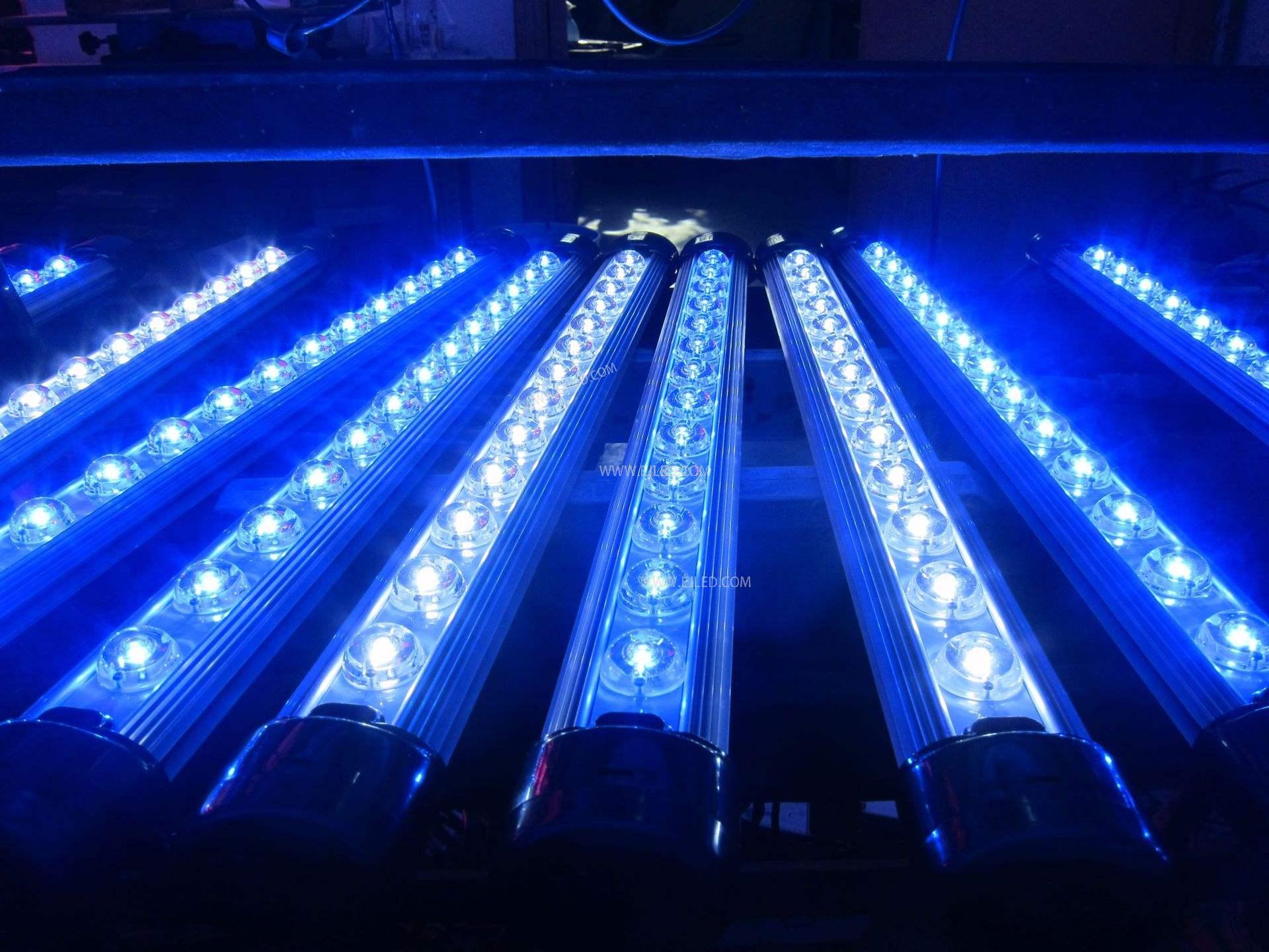Why people say that plant lights are a hoax?