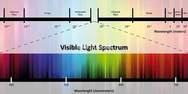 How many hours a day does the plant light turn on
