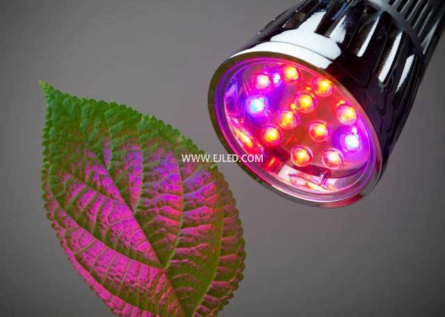 What is the difference between plant lamp and ordinary lamp