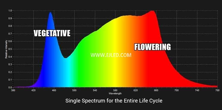 Spectrum: How does the lighting wavelength affect plant growth