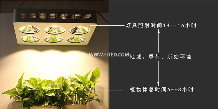Market prospects of plant lighting in 2022