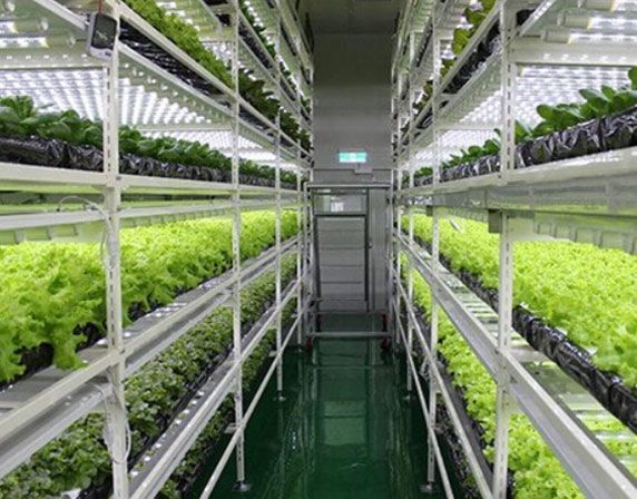 How does the LED grow light work?