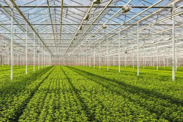 Inventory of 2021 lighting industry Top Ten(2)