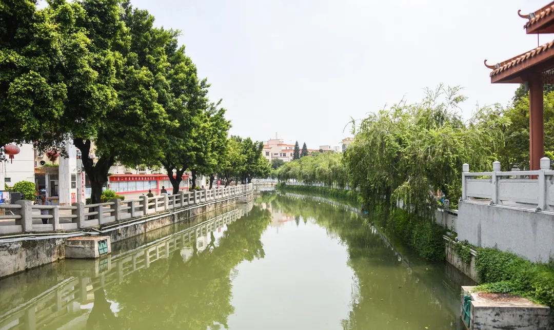 Guzhen,China Lighting Capital:Go on 2022!