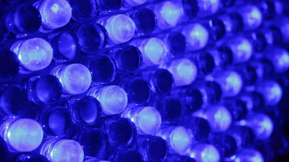 What is the use of blue LED plant lights