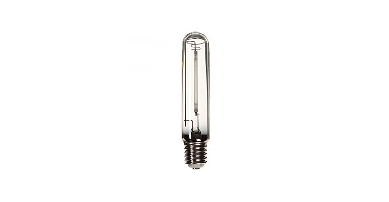 What type of lights are suitable for growing plants?