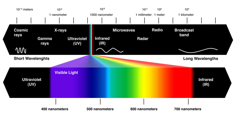 What type of lights are suitable for growing plants?