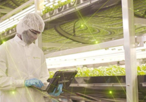 Dynamic inventory of the world's 9 largest plant factories in 2021