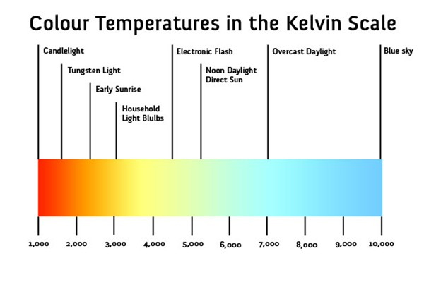 Optimal light for plant growth