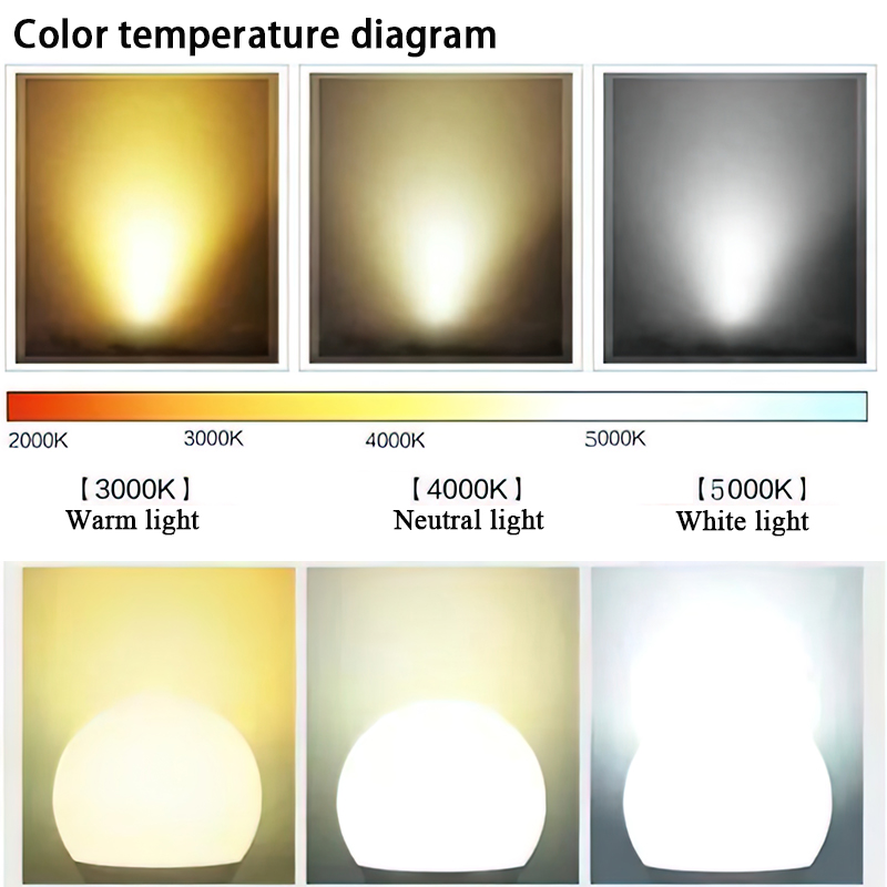 The most popular led bulb