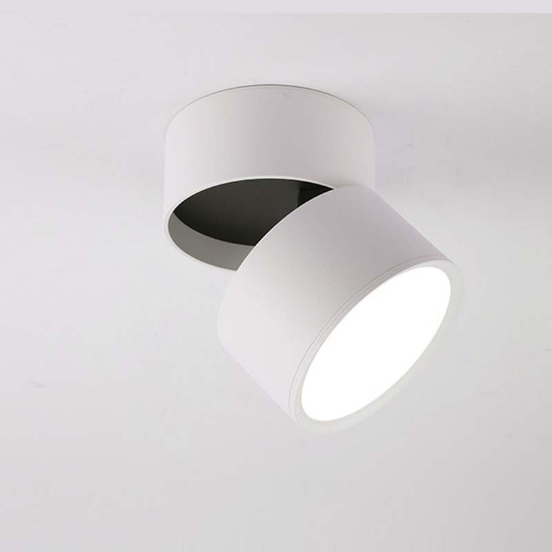 Which downlight and spotlight are more suitable for use in the living room