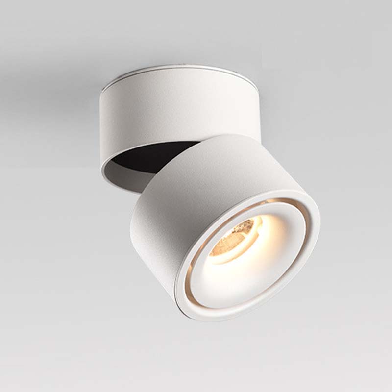 Which downlight and spotlight are more suitable for use in the living room